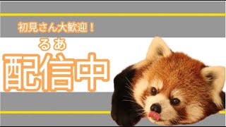 【フォートナイト参加型】まったりフォトナ参加型配信！初見さん大歓迎！