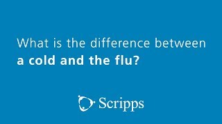 Differences Between a Cold and the Flu with Dr. Vivian Tran | Ask The Expert