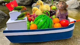 Bim Bim rowing a boat to pick fruit with a cute couple of ducklings and parrots