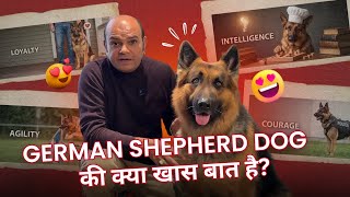 What is special about the German Shepherd Dog? Explained by Baadal Bhandaari