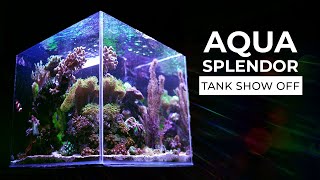 Reefs com Tank Show Off : Aqua Splendor.