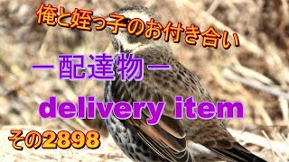 俺と姪っ子のお付き合い－配達物－その2898 delivery item