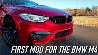 BEST FIRST MOD FOR THE BMW M4 (Aggressive Fangs)