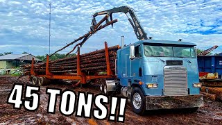 Log Trucking with a Cabover! Blue Collar Gets put to Work!!!