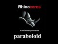 paraboloid toolbat how to use rhino cad