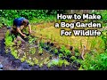 How To Make a Bog Garden - For Wildlife - DIY