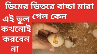 ডিমের ভিতর বাচ্চা মারা গেল কেন। ডিমের ভিতর বাচ্চা মারা যাওয়ার কারন