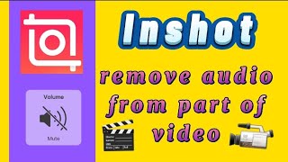 how to remove audio from part of the video original audio with inshot video editor app