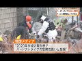 チェジュ航空179人死亡事故「遺体の損傷ひどく確認に時間かかると説明受けた」遺族が会見　務安空港「バードストライクの危険性高い」2020年作成の報告書で指摘