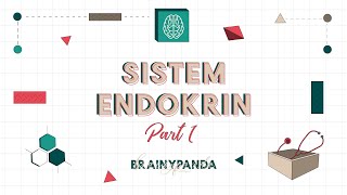 Sistem Endokrin (Part 1) | Ilmu Biomedik Dasar | Brainy Panda