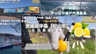 【愛媛】農作業DAY！中島（忽那諸島）瀬戸内海にある離島での休日１日まとめ！フェリーでGO！！