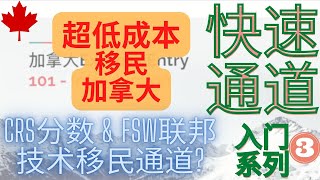 加拿大EE快速通道 101系列 第三集 - CRS 分数 & FSW 联邦技术移民