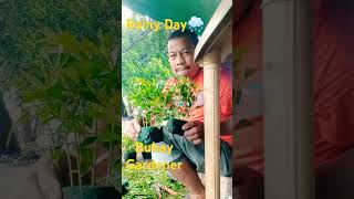 How To Propagate Fr: Cuttings Monocurpos Plants#satisfiying#viralshort #gardener#trimmer#propagation