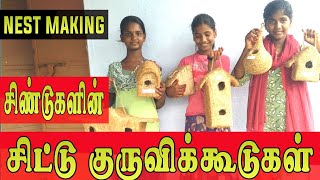 Amazing 🌟 Sparrow nest making | Kuruvi koodu | குருவிக்கூடு செய்வது எப்படி |FARMERS POST