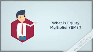 What is Equity Multiplier (EM)