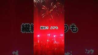 🇸🇬花火  お祭り騒ぎ