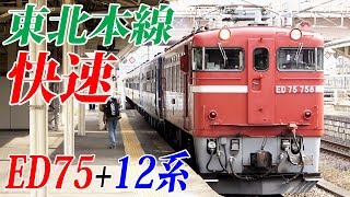 【ネタ列車の旅】国鉄の急行列車を再現 臨時快速列車 花めぐり号に乗車【スーツ休暇2019その17】福島駅～大河原駅 4/8-01