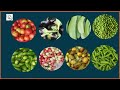 vegetable names in english and telugu with pictures vocabulary ఇంగ్లీష్ తెలుగులో కూరగాయల పేర్లు