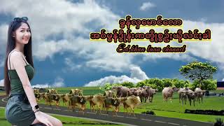 ခွန်ထွန်းမောင်(၂၄)နားရီ