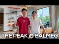 THE PEAK @ BALMEG (ALOYSIUS NG) SINGAPORE PROPERTY LISTING