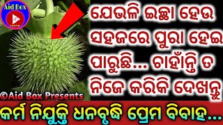 ଦିବ୍ୟ ପ୍ରୟୋଗ: ଶାଶ୍ଵତ ଇଚ୍ଛା ପୂର୍ତ୍ତି ଉଦ୍ଦେଶ୍ୟରେ | Ever Successful Tantra Mantra Vasikaran for Wishes