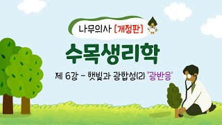 [개정판 나무의사] 수목생리학 - 제6강 햇빛과 광합성(2) '광반응'