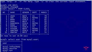 Python Lesson 14 Interface with Python Mysql Fetchall