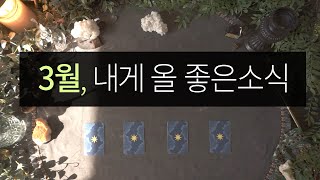 [타로] 3월에 올 좋은소식 🌱