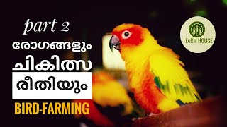 പക്ഷികളുടെ രോഗങ്ങളും പരിപാലനവും |  bird farming | birds medicine | palakkad | vikky