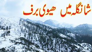 Shangla Swat Heavy Snow Area In Winter Vlog / New Attraction In Shangla/ Drone 4K Shots.