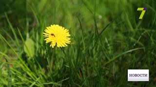 Синоптики обещают значительное потепление в Одессе