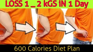 How To Loss Weight Fast _ Full Day Diet Plan _ 600 Calories diet plan _ Pakistani diet plan