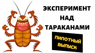 Дезцентр Манофьют тестирует инсектициды на прусаках. Пилотный выпуск