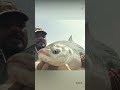 big amazing katla fish caught in river youtubeshorts fishing shorts