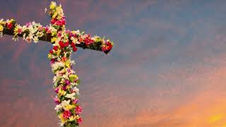 La cruz transformada. Fiesta de la Santa Cruz de Mayo