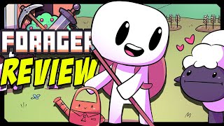 Forager Review - Is it Worth Buying?