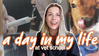 A Day in the Life of a Vet Student | Vet School Vlog