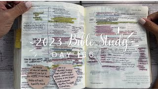 Study the Bible in One Year: Day 166 Psalms 134 \u0026 146-150