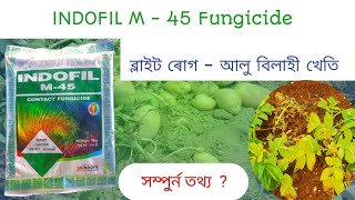 Indofil M 45  Fungicide | আলু বিলাহী খেতিৰ ব্লাইট ৰোগ নিয়ন্ত্রণ