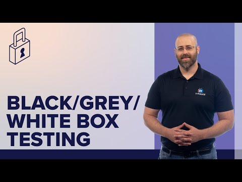 What are the differences between black box GREY box and white box testing methods?