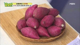 겨울까지 먹자! ＜고구마＞ 맛있게 오래오래 보관하는 법 MBN 201025 방송