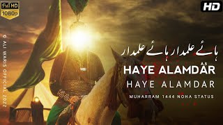 Haye Alamdar Haye Alamdar | Mir Hasan Mir Noha | WhatsApp Status | By Ali Waris Official