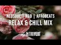 Neosoul | R&B | Afrobeats Relax & Chill Mix
