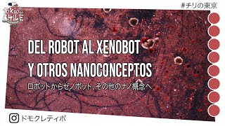 LOS ROBOTS SON UNA FACHADA: NANOBOTS - ロボットはファサードです：ナノボット - TOKIO EN CHILE - チリの東京
