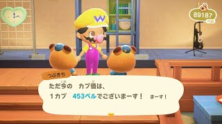 🔴【あつ森】１カブ＝４５３ベル【あつまれ どうぶつの森】