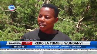 Kero la tumbili Wundanyi kaunti ya Taita Taveta watishia baa la njaa