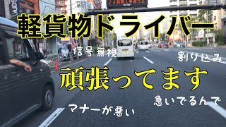 フリーランス軽貨物ドライバーは毎日頑張っているんですよ割り込みや信号無視ぐらい多めに見てくれてもいいんじゃない？急いでるんだから【危険運転煽り運転事故撲滅委員会フリーランス軽貨物ドライバーの車窓から】