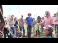 fruit tree pruning with orin martin