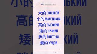 俄语学习🇷🇺俄语入门 俄语形容词 俄语反义词 俄语基础 俄语课 俄语老师 俄语外教 俄语日常用语 俄语口语 俄语培训 学俄语 教俄语 俄罗斯人 苏联 每日俄语 外语 俄罗斯的生活