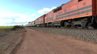 Genesee and Wyoming Mallala Grain Train with GM40 GM47 CLP8